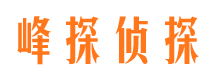 洪洞市场调查